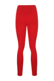 Leggings of a Lifetime Spor Taytı / Rogue