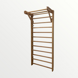Wooden Pull-Up Gymnastics Ladder - Wall Mounted